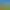 Eine Hand hält einen Topf mit süßer Alélor-Senf in einem Feld gelber Blumen unter einem blauen Himmel.